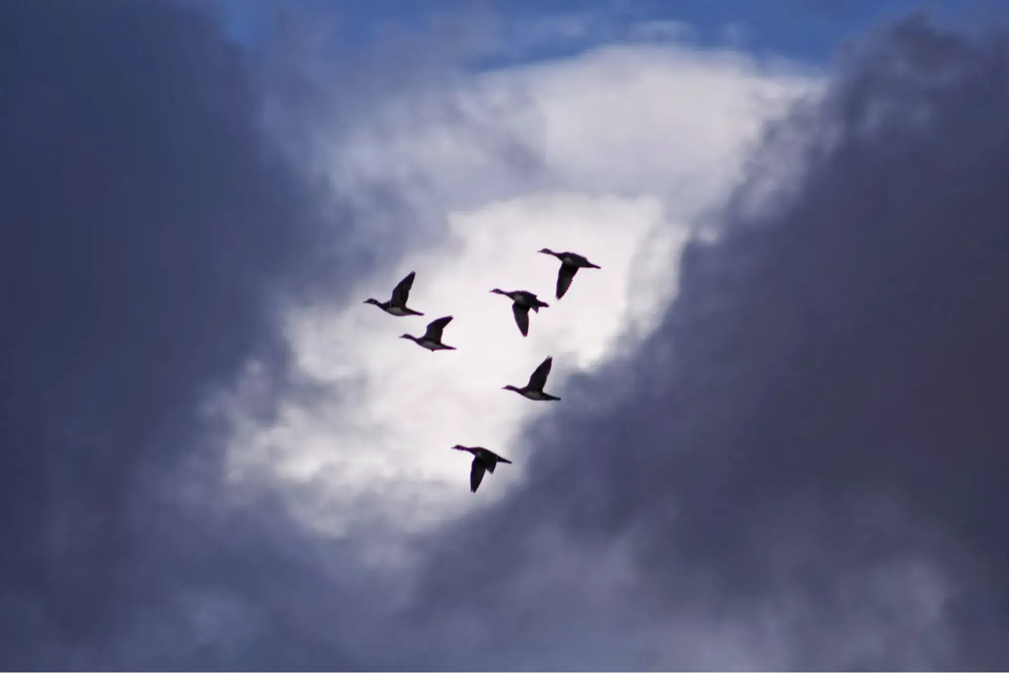 8 step aws to microsoft azure migration strategy atmosera